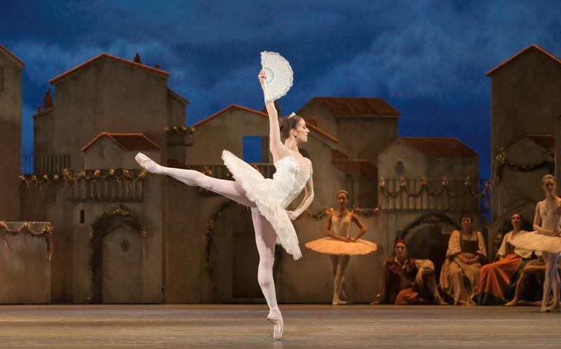 Don Quixote Royal Ballet 2014 Review 